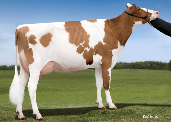 811642_Snowbiz_Sympatico_Sofia_Red_VG85_MMM_von_Migel-1.jpg