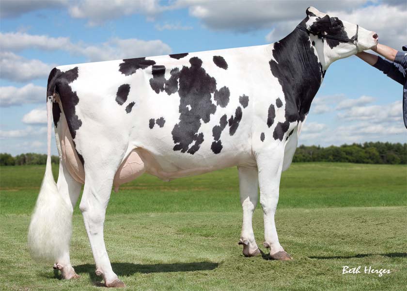 LOM_US0138218285_Sully_Shottle_May-TW_EX-91_US138218285.jpg